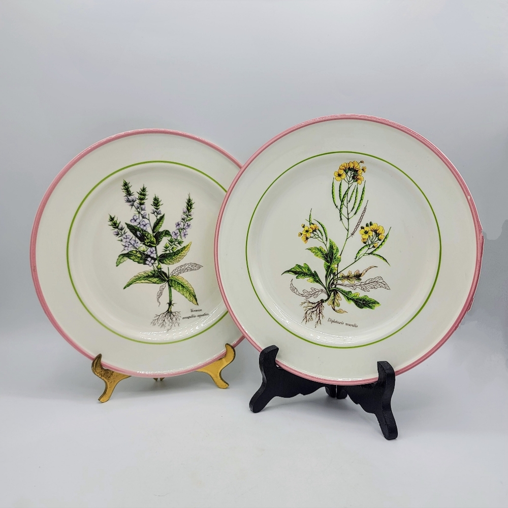 La Primula Italy Hand Decorated Botanical Plates Set of 2 Pink Rim Flowers Vtg